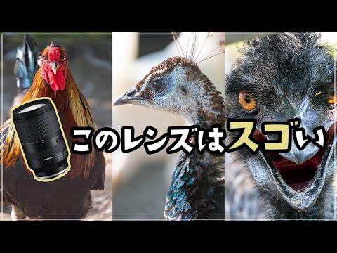 YouTube の動画サムネイル