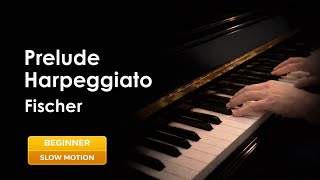 J. K. F. Fischer: Prelude Harpeggiato in C Major | Slow Piano Tutorial | Beginner