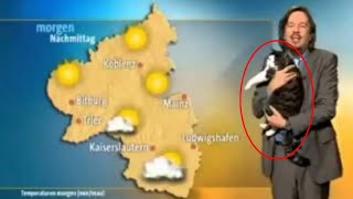 Cat Interrupts German Weather Report And Demands Cuddles. Meet - Lupin