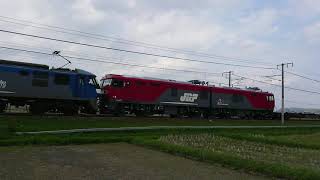 EF210-145+EH500-69(ムド) 2073レ 中庄付近通過