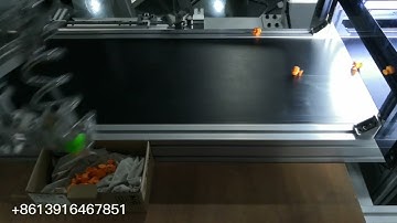 Delta robot spider arm sorting machine for toy