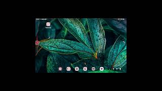 Bay Bay En Iyi Arkadaşım