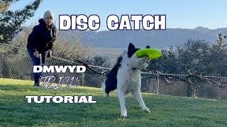 Disc Catch - DMWYD: Trick Tutorial by Pam's Dog Academy 82 views 1 month ago 3 minutes, 10 seconds