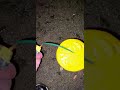 1100 GRAM GROUND SALUTE WITH EFFECT
