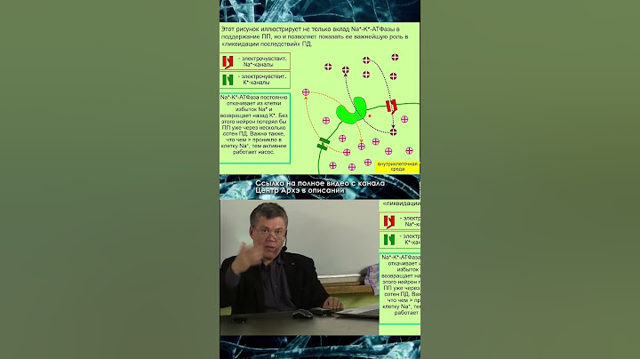 Вячеслав Дубынин \ Эпилептический припадок #дубынин #мозг #shorts