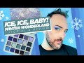 Ice ice baby cosmic brushes winter wonderland palette make up tutorial and review