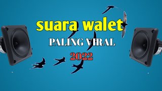 suara panggil walet paling viral 2022