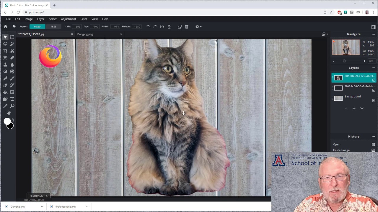 How to Create Transparent Backgrounds Using Pixlr (with Pictures)