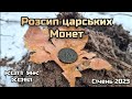 Розсип царських монет та скіфська шпилька. Лісний #Коп.