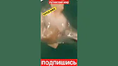 ХУНТА КИЕВ