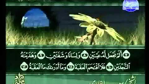 سورة البلد كاملة الشيخ سعد الغامدي