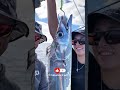 Frostfish – The Most Mysterious Deep Sea Fish 🐟❄️