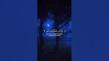 سورة النساء || آية ١٠٨ (Surah An-Nisa) ﷽#quran  #قرآن  #yasseraldossari