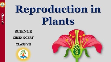 What is reproduction in plants for class 7? What is reproduction and its types Class 7?