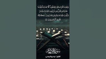 سورة الأنعام | Al-An‘ām | آية 84 | الشيخ وديع اليمني