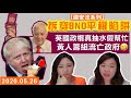 BNO平權，真有用定真抽水？為避國安法，黃人急成立海外流亡政府😂? 拆解#StandWithHK(同香港企響同一陣線)嘅真正含意！Y2K有咩建議俾約翰遜？|Y2K 大樹與木頭 | 2020.05.26