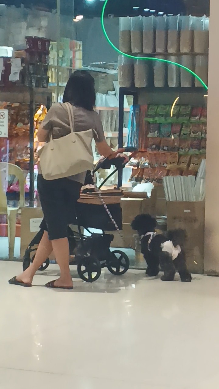 #black #dogies  #green