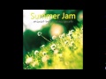 dj Alex Spark - Summer Jam (2011) - Track 11