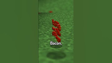 Mini Mod Reviews - Sandwichable