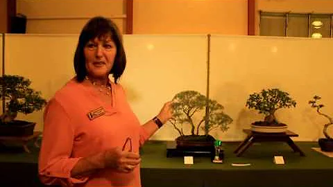 Critique of a Melaleuca raft planting by Carole Wa...