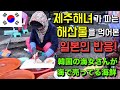제주해녀가 직접 잡아서 파는 해산물을 먹어본 일본배우 반응! MUKBANG EATING SHOW  [Sea Squirt&Octopus]