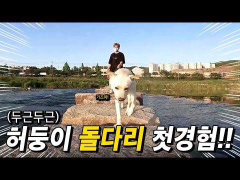 난생 처음 보는 돌다리를 건널 수 있을까?!