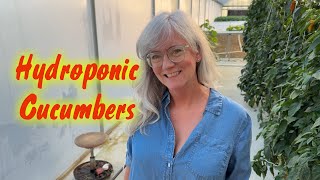 Guide to Hydroponic Cucumber Plant Care and DIY