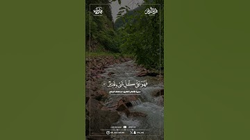 ماتيسر من سورة الأنعام | القارئ : عبدالملك الراجح