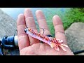 FALL Bass Fishing with the NEW Sukoshi Bug! (UNEXPECTED