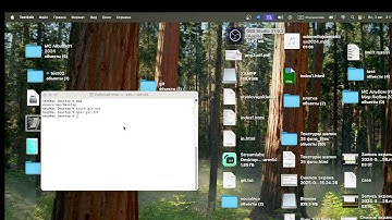 Полезные фишки терминал mac os 2025