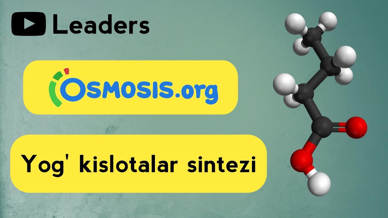 Kislotalar. Кислоталар. Кислоталар жадвали. Etilatsetat sintezi. Seal kislotalar.