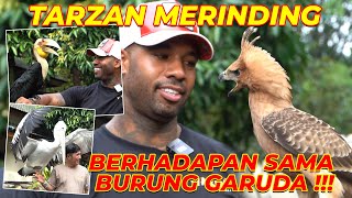 #13 MOMEN TARZAN AMERIKA GEMETERAN LIAT BURUNG GARUDA !!!!