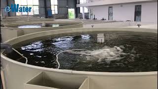 How to konw the equipment in the RAS for hatchery?丨eWater