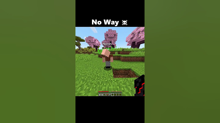 Minecraft Notch Moment 💀