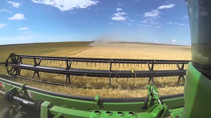 2015 Wheat Harvest Raw