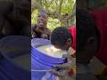 African Primitive Tribe Beer Africa Funny Hadzabetribe Food Beer African Primitive Tribe Beer Africa Funny Hadzabetribe Food Beer