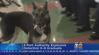 4 Port Authority Explosive Detection K-9s Graduate