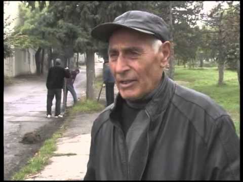 თელავში გამწვანების სამსახურმა ბორდიურების გაწმენდითი სამუშაოები დაიწყო