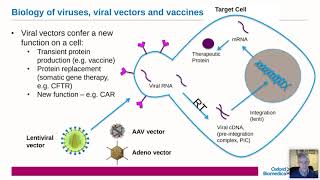 Oxford Biomedica: PhD /DPhil Studentships – Advanced Bioscience of Viral Products (ABViP)