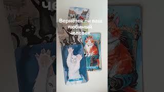 #tarot #таро #гадание #таролог #тароонлайн #таронаотношения