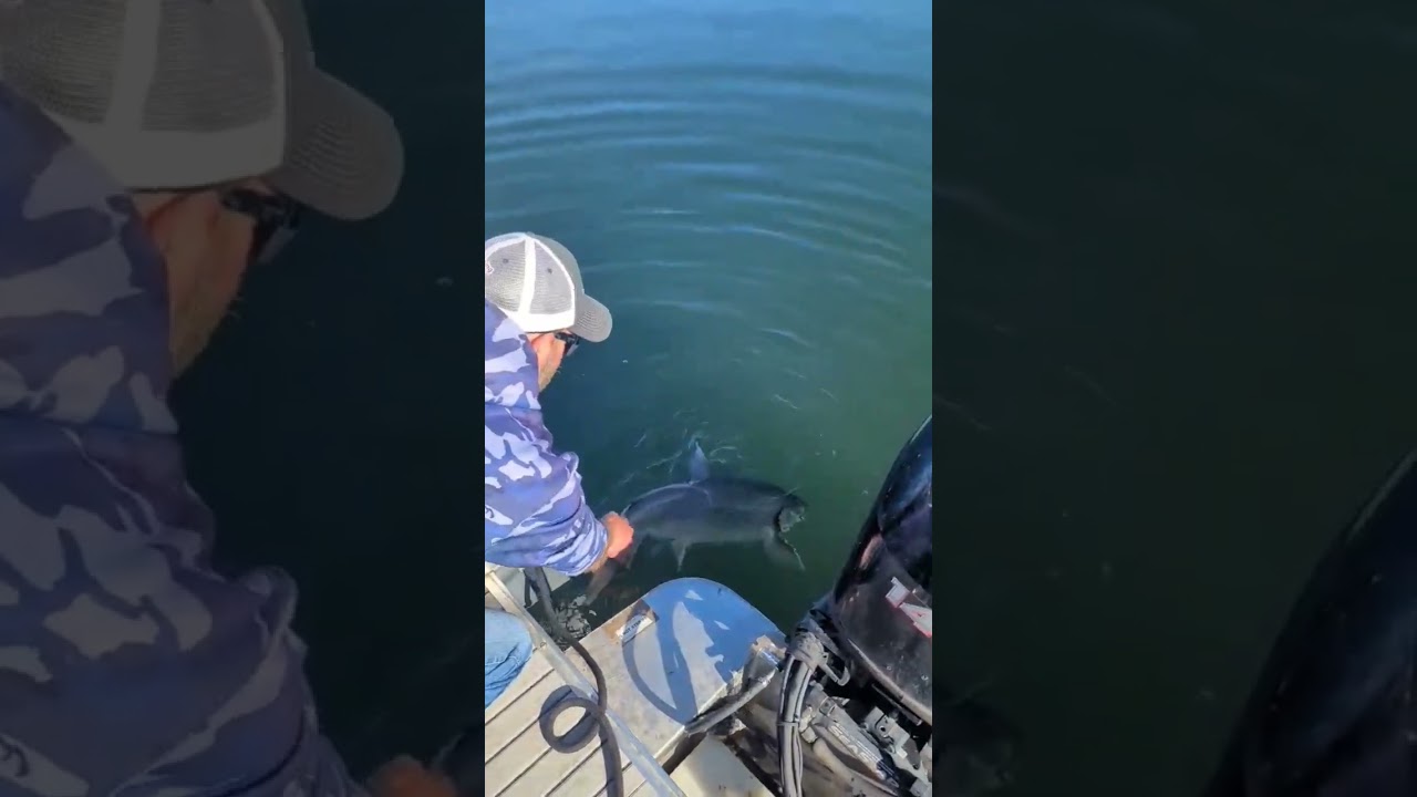 Successful Blue Mesa Lake Trout catch and release with the Sandoval crew!.