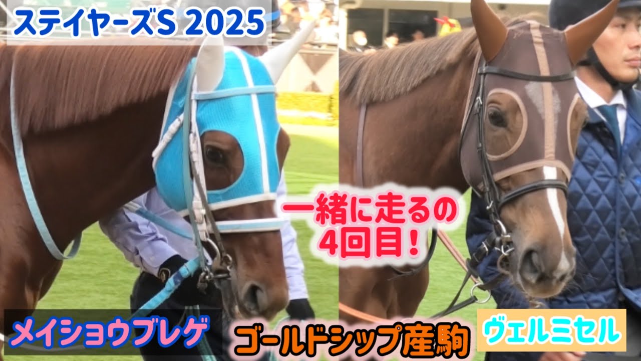 サンタの競馬　ゴールドシップ　デュラメンテ サンタの競馬 ゴールドシップ デュラメンテ サンタの競馬 ゴールド