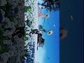 #wherewindsmeet #openworldgame #mmorphggame