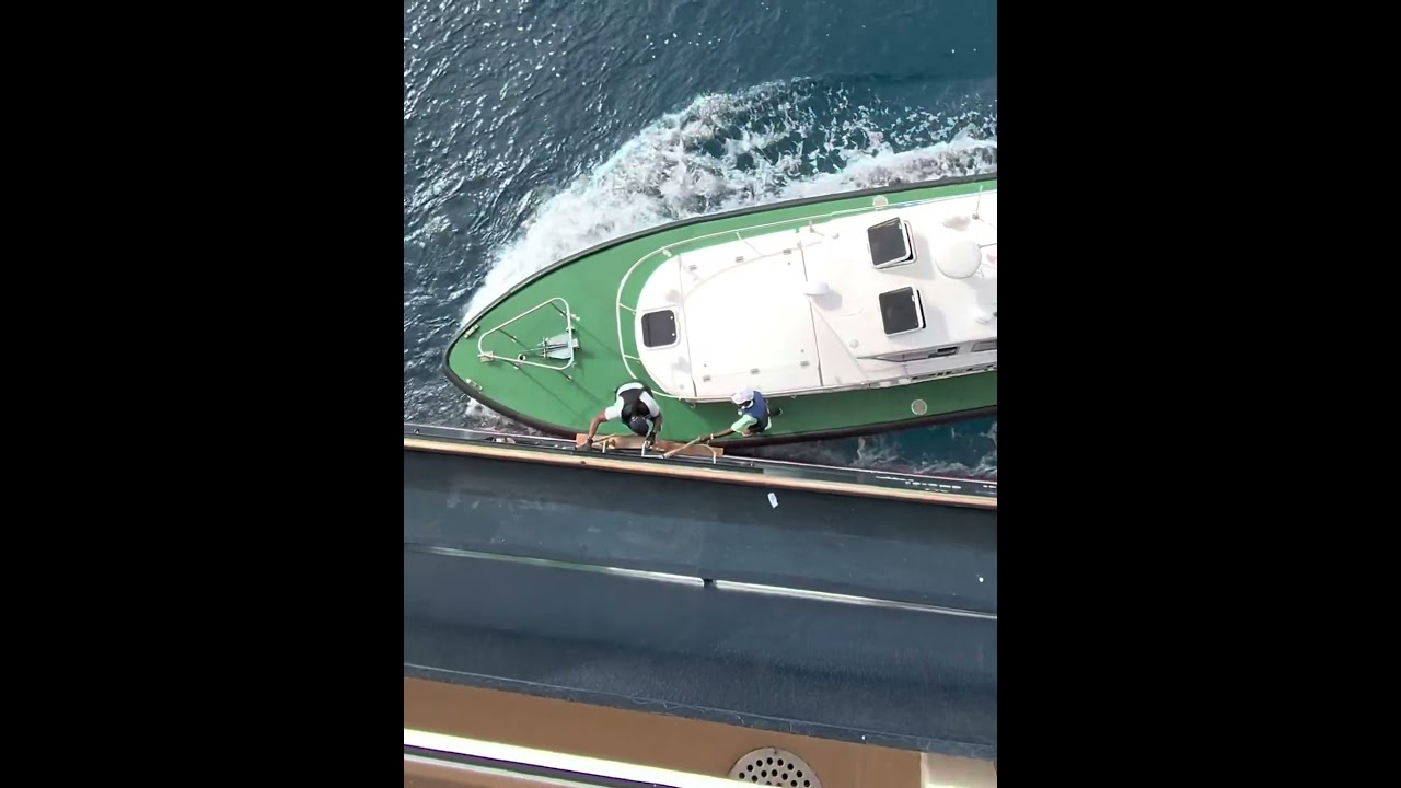 Ever Wonder How a Pilot Gets Off a Cruise Ship? 🚢😳