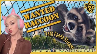 Trash Panda Stream: Wanted Raccoon!