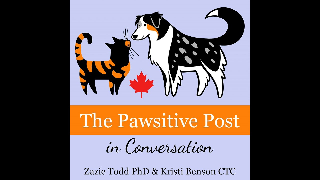 Writers on what brings them hope for the human-animal relationship (bonus)