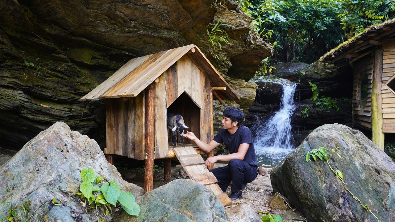 Building a Mini Cabin for the Baby Goat | Releasing 500 Fish into the ...