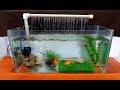 How to make an Aquarium Fountain using a PVC pipe / DIY