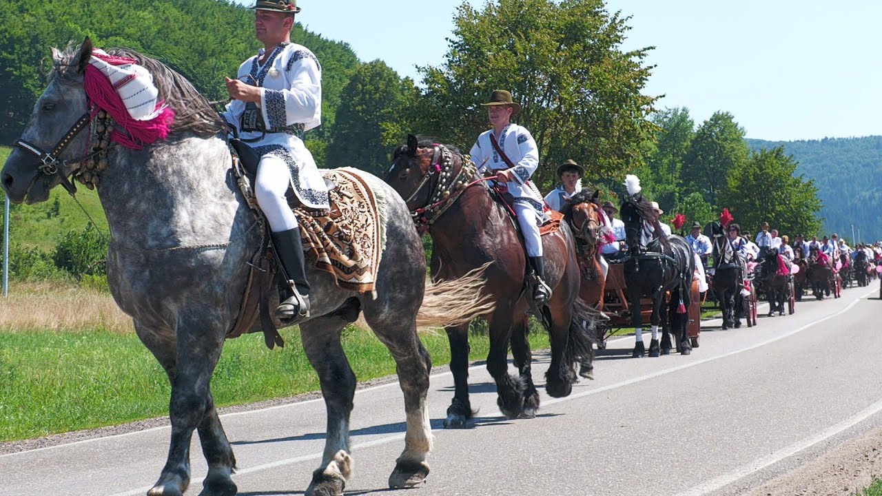 Nuntă cu cai și trăsuri acasă la mire Gura Putnei - Bucovina Dan și Andreea 28 Iulie 2024