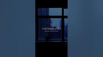 ( صنع الله الذي أتقن كل شيء )  سورة النمل - الآية 88 - 